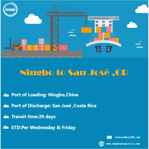 FCL Ocean Freight da Ningbo a San Jose