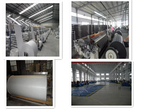 Durable China Factory PE Tarpaulin