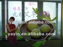 vinyl static sticker