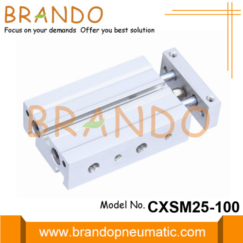 SMC Typ CXSM25-100 pneumatische Doppelstangen-Luftzylinder