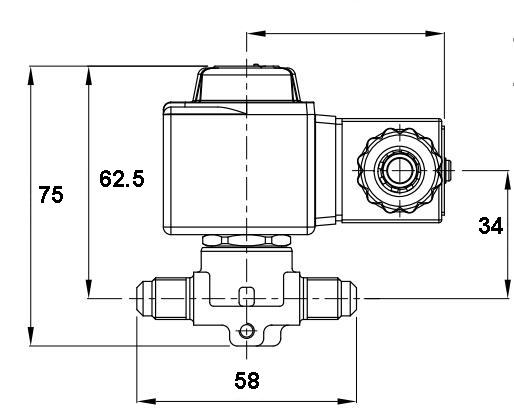 1/4'' SAE 1020/2A6 220/230VAC CASTEL Type Magnetic Valve