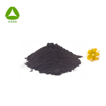 Anti-desespression St. John Wort Extract Hypericin Powder