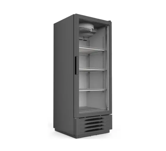 Big Capacity Vertical Blast Deep Display Freezer with Glass Door