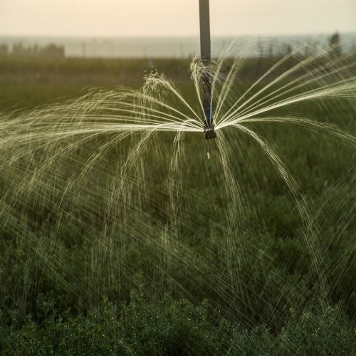 Système d&#39;irrigation au pivot central simple