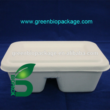 Food serving trays with lid, 2 compartment fast food serving tray