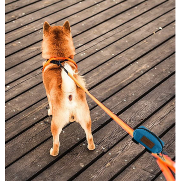 Distributeur de sacs de mer de chien de qualité