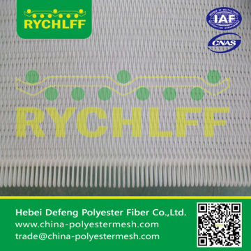 Polyester Dryer Fabric/Woven Dryer Fabric/Synthetic Dryer Fabric