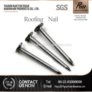 flat cap annular roofing nail