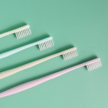 Cheap Plastic Injection Toothbrush MouldOEM Mould Toothbrush