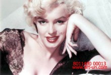 reproduction Model painting