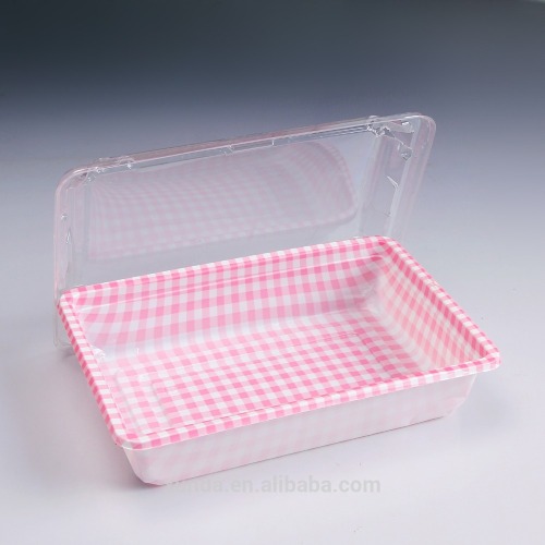 Large Plastic Box for Sushi