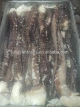 Frozen Giant squid tentacle for Thailand