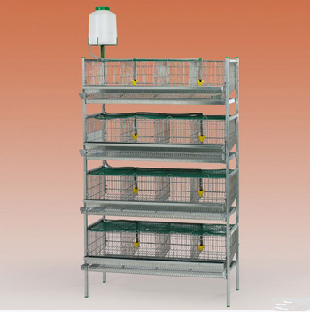 China newly design in the market animal cage/bird cage/quail cage