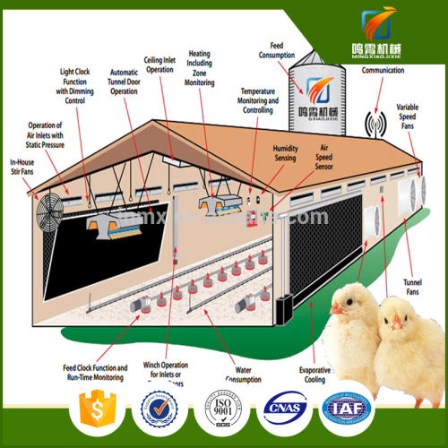 animal poultry farming project