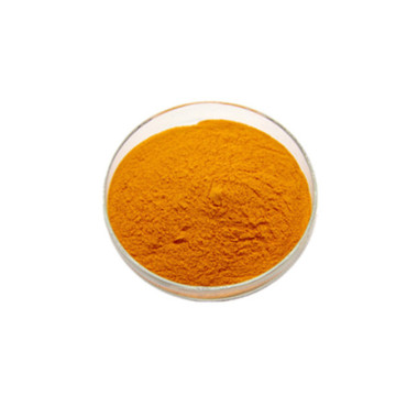 High Quality Riboflavin Vitamin Healthy B2