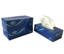 Custom boxed facial tissues