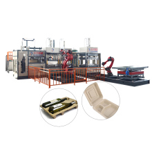 Sugarcane Bagasse Food Container Making Machine