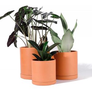 Terracotta Planter met drainagegat en schotel