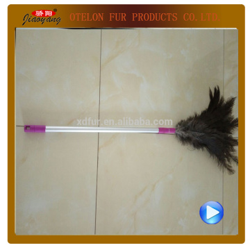 cleaning products feather dusters