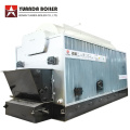 DZL Coal Fired Hot Water Boiler for Mongolia