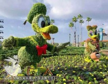 Fanciful fake lving horticultural topiary sculpture Donald Duck topiary