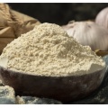 High quality garlic powder dehydrated