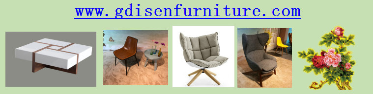 disen furniture