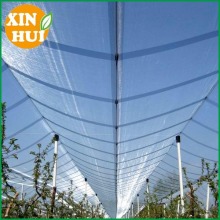 anti hail mesh , Agriculture anti hail net ,hail protection net
