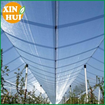 anti hail mesh , Agriculture anti hail net ,hail protection net