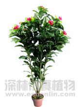China Giant artificial plumeria flowers wholesale