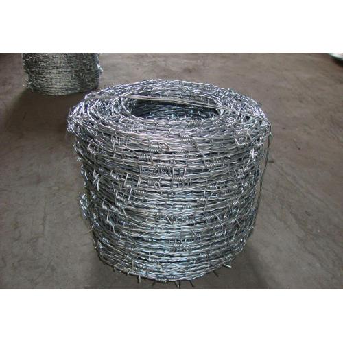 Hot Sale Galvanized Barbed Wire