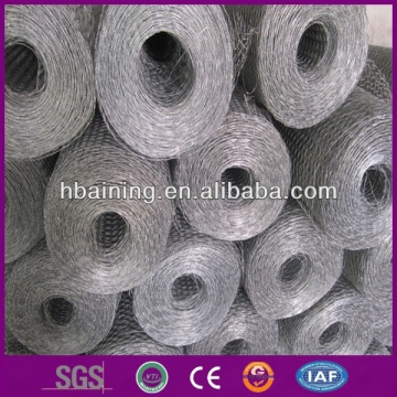 Hexagonal Wire Mesh BWG24*PVC coated hexagonal wire mesh 3/4"