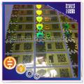 Scratch Off With QR Code Hologram Sticker