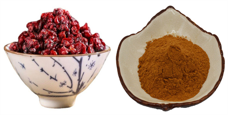 High-Quality Schisandra Extract Powder Fine powder of Schisandra Extract standardized for Schisandrins.