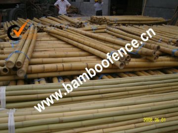 bamboo pole for bulding