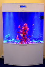 Acryl-Aquarium, Aquarium Von Cleair Werks