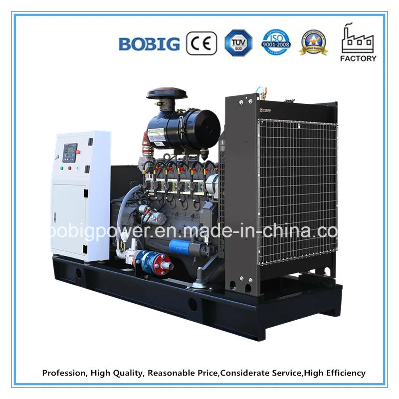 Methane Biogas Generator Gas Generator