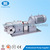 China Hebei 3-RP series high efficiency sanitary food grade viscous liquid pump rotor pump