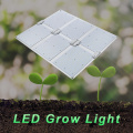 LED Plant Greenhouse usou LED Grow Light