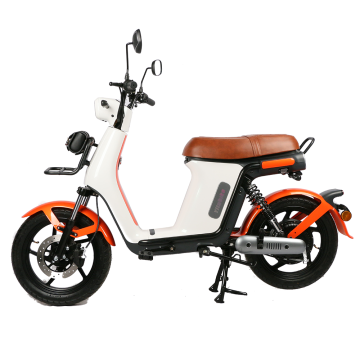 OEM Services for EEC/COC Certified 48V 350W Electric Mopeds & Scooters with Pedal Assistance