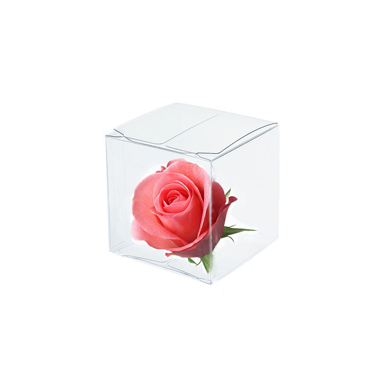 Geschenk Clear Pet PVC Transparent Clear Plastic Box