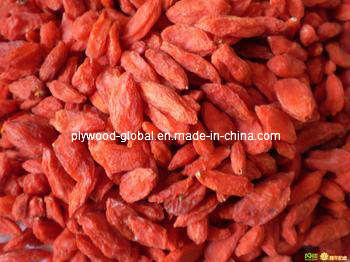 Goji Berry