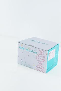 Plant Genomic DNA Extraction Kit by Spin Colomn