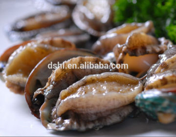 Cooked frozen Abalone with shell
