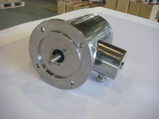 Flange Stainless Steel Motor