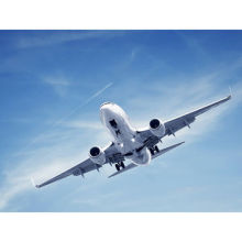 Logistics freight forwarding services of import and export agency services