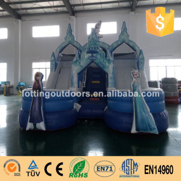 Outdoor Big Frozen Water Slide Adult Inflatable Water Slide