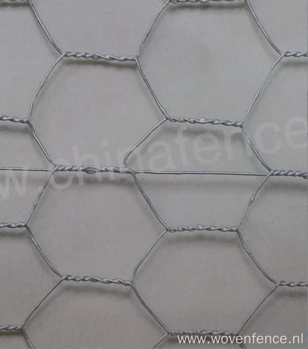 Hexagonal wire mesh with reinforce wire