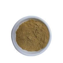 Hot sell Factory Supply with best price, 20:1, Gynostemma P.E./Gynostemma Extract Powder