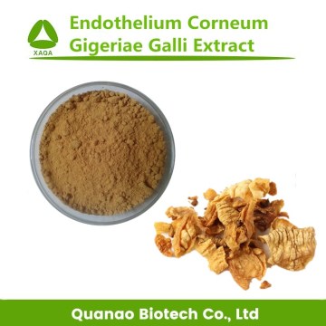 Endothelium Corneum Gigeriae Galli Extract Powder 10:1